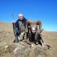 <h1 style="font-size: 12px">Viaggi di Caccia in Mongolia e in Serbia della nostra Amica di Safari International Sonja nata con la caccia nel sangue..</h1>